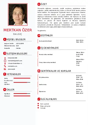 Dalgıç CV Örnekleri cv indir